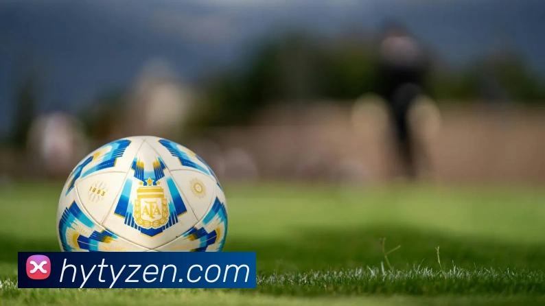 华亿体育平台生态图